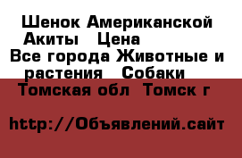 Шенок Американской Акиты › Цена ­ 35 000 - Все города Животные и растения » Собаки   . Томская обл.,Томск г.